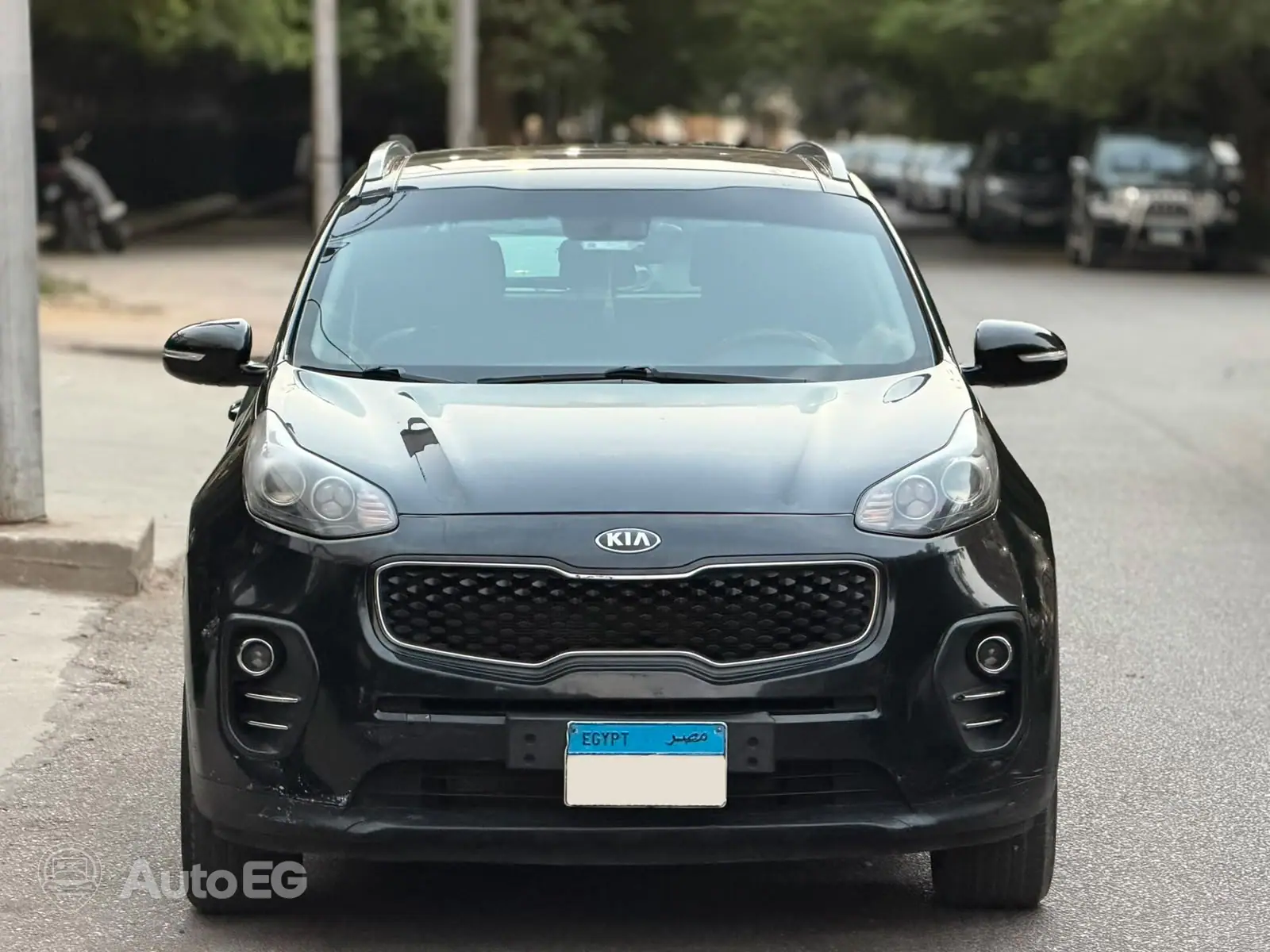 Kia Sportage ٢٠١٧ – الصورة 6 من 22