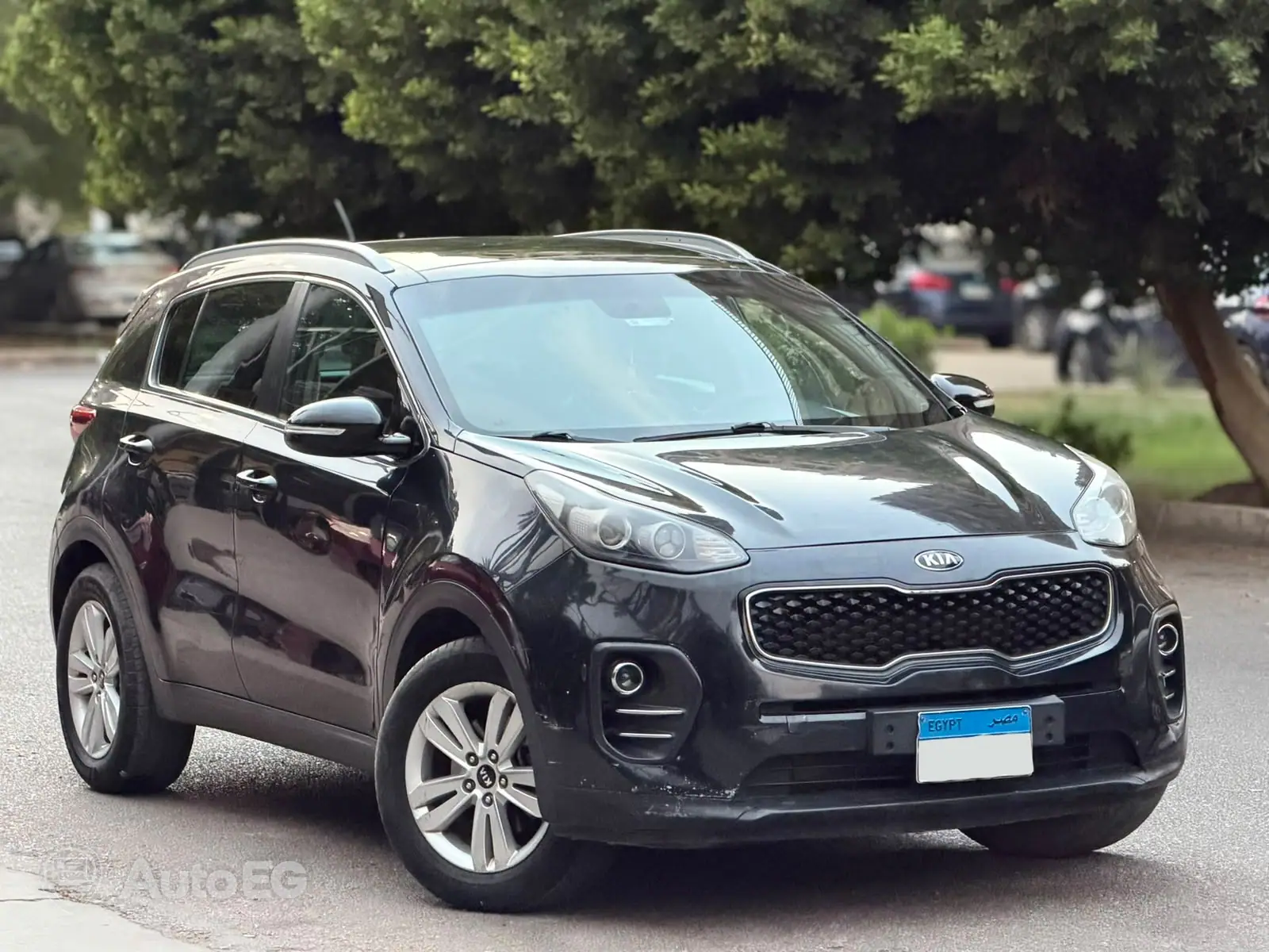 Kia Sportage ٢٠١٧ – الصورة 3 من 22
